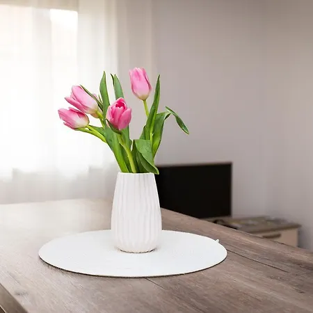 Aqualiget-apartmanhaz E-car Plug-in Point